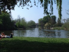 the thames at sonning
